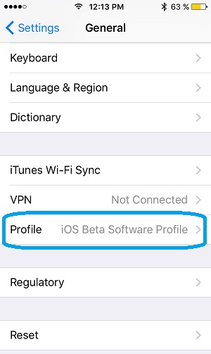 ios beta profile download